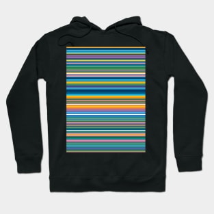 Stray Rainbow Hoodie